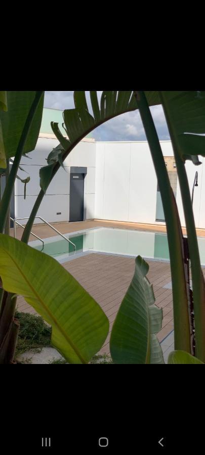 Cordoba Luxury Home Kültér fotó